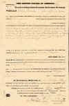 tennisongeo2.jpg (291665 bytes)
